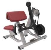 Machine musculation biceps siège rembourré poids standards