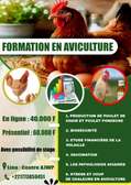 FORMATIONS EN AVICULTURE (à partir du 19 Juillet)