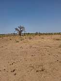 Terrain de 1 hectare à sandiara (mbour)