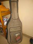 Guittar Godin électrique