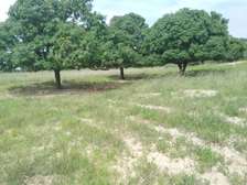 5 hectares à vendre entre Saou et Diambalo