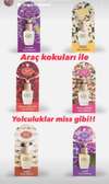 Parfum voiture en 12ml