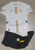 Ensemble Senegal