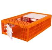 Caisse de transport poulet 🐔