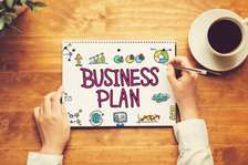 Business plan professionnel