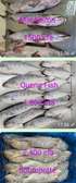 QUEEN FISH ou YÉRBÉLÉ À VENDRE