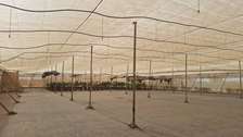 Serre 3000 m2 avec station de fertigation et solaire
