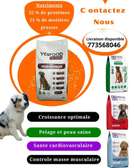 YESFOOD (ALIMENT POUR CHIEN)