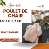 Poulet de chair