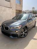 BMW x1 M package
