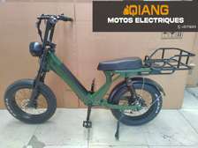 vélo électrique