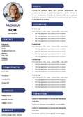 Confection de CV professionnel pour tous