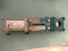 Vanne guillotine pneumatique