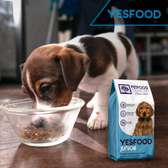 YESFOOD Croquettes