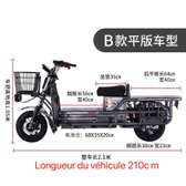 moto électrique