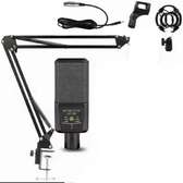 Microphone à Condensateur  professionnel avec support