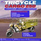 Moto Tricycle Bagages Super 250