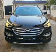 Hyundai santafe 2017