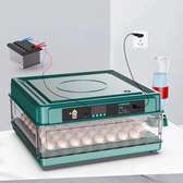 Couveuse automatique 48 œufs
