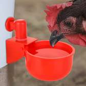 Abreuvoir automatique volaille