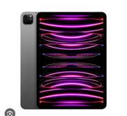 iPad Pro m2 256 go