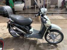 Piggiao liberty venant ( cmc)