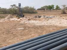 Kit démarrage papaye clé en main