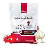 Boosteur de la croissance poulet de chair