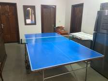 Table de ping pong