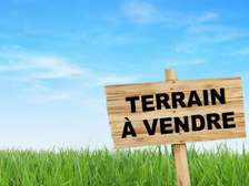 Terrain ndiakhirate Doudou Bass