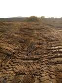 SINDIA - 1Ha ou 2Ha à vendre