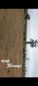 Terrain agricole Tainango grande superficie plate