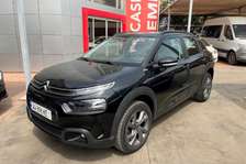 C4 CACTUS