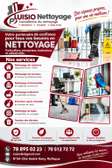 LUISIO – Service Professionnel de Nettoyage & Entretien