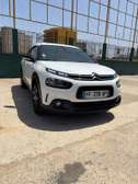 Citroën c4 cactus bluehdi 120 s&s EAT6 Shine