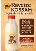 Lait de chamelle frais