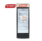 REFRIGERATEUR SMART TECHNOLOGY VITRINE 1PORTE 242LITRES