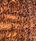 CREVETTES FUMÉES
