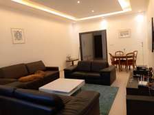 Mamelles appartement meublé