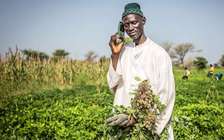 Vente direct producteur