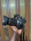 Canon R7