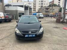 Peugeot 307 diesel 2 porto