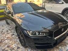JAGUAR 2016