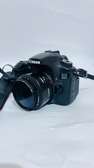Canon 60D objectif 50mm F1.8