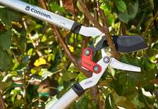 Cisaille de jardin 78 cm pour branche épaisse