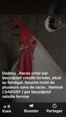 Poulet d’ornement