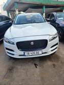 Jaguar essence