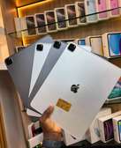 iPad Pro M2-256 Gb