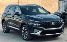 Hyundai Calligraphy 2022