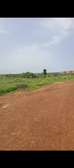 Terrain 100 hectares a vendre diass